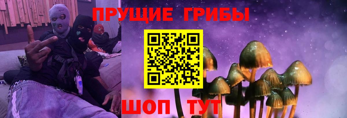 Галлюциногенные грибы прущие грибы  Вход с VPN  даркнет сайт  Киселёвск 